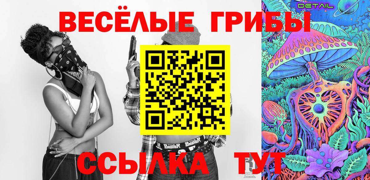 Галлюциногенные грибы Cubensis Калининград
